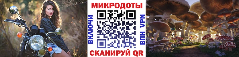 сайты даркнета телеграм  Кандалакша  Галлюциногенные грибы прущие грибы 